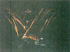 OOO...AHHH!!!  Fireworks at the George Washington Masonic Memorial (First Night Alexandria - 2004)